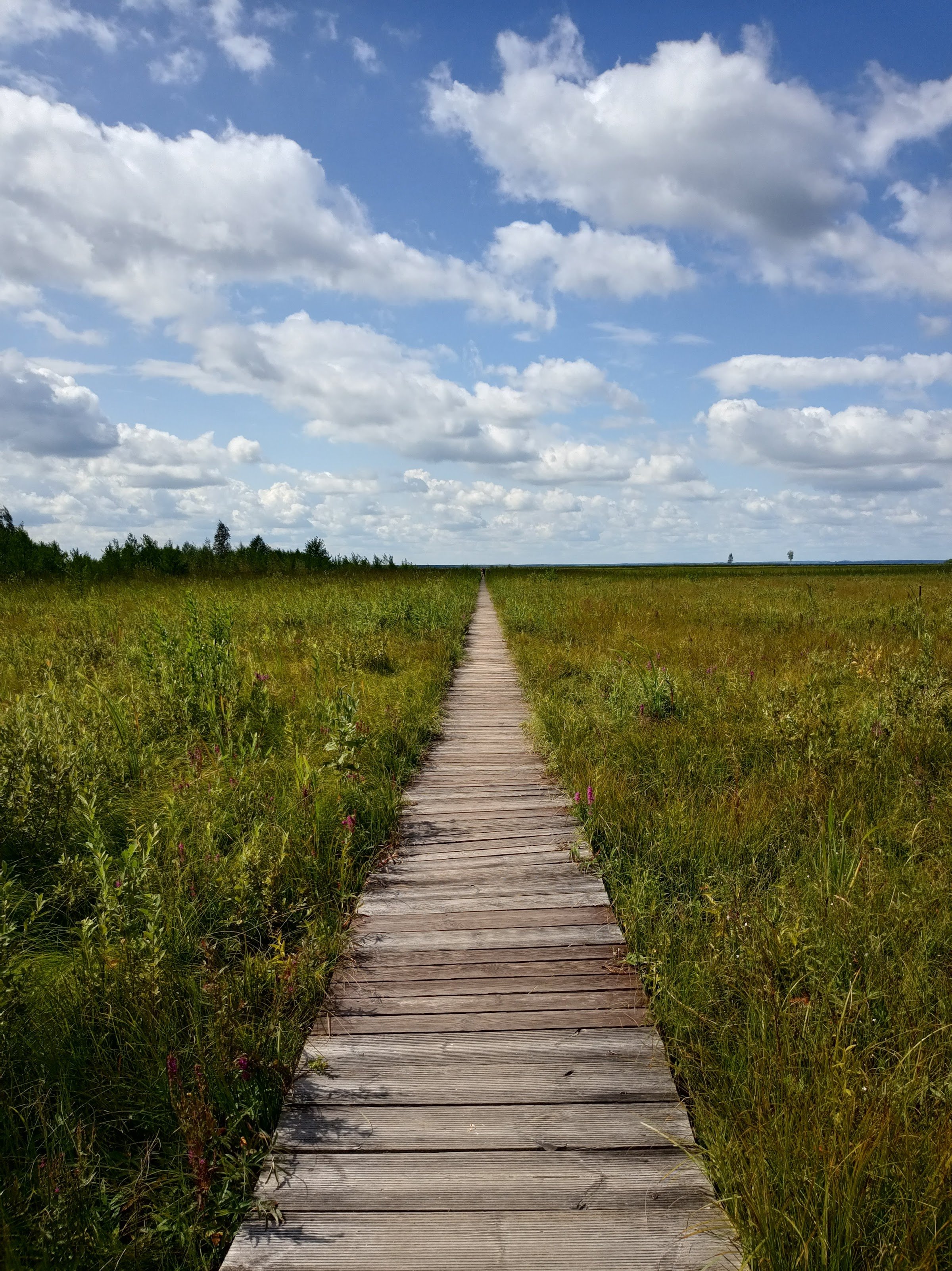Biebrzański Park Narodowy